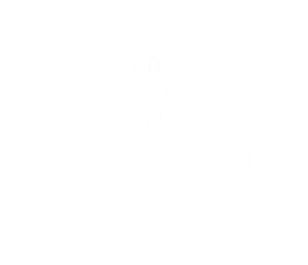 Bull & Node